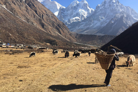 Mera peak trek