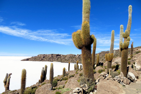 Uyuni: Excursão clássica ao Salar de Uyuni + serviço de busca no hotelSalar de Uyuni. Dia inteiro clássico + pôr do sol