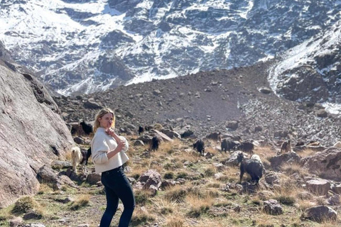 Da Marrakech: Escursione di un giorno sulla cima del Tedli, nella catena montuosa dell&#039;Atlante