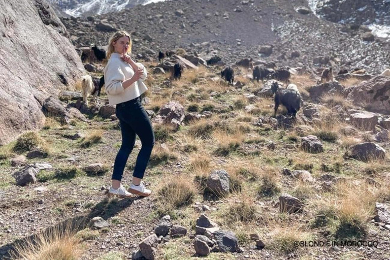 Frome Marrakech : Randonnée d'une journée au sommet du Tedli dans les montagnes de l'Atlas