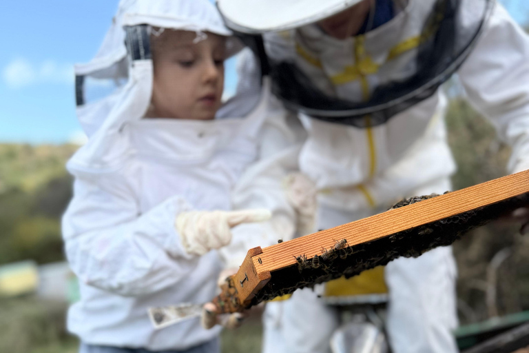 Kalamata: Beekeeping Experience with Honey Tasting