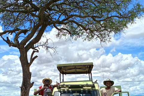 Museu de Nairóbi, Giraffe Centre, Karen Blixen e Bomas Kenya