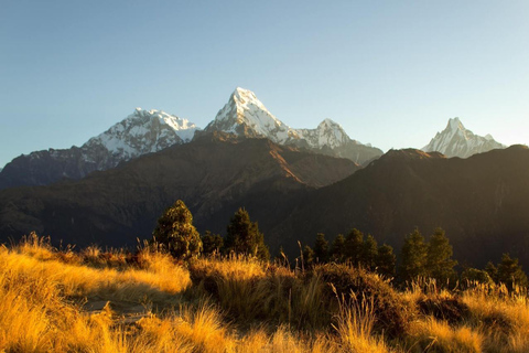 From Kathmandu : 5 Days Ghorepani Poonhill Guided TrekKathmandu : 5 Day Ghorepani Poonhill Trek