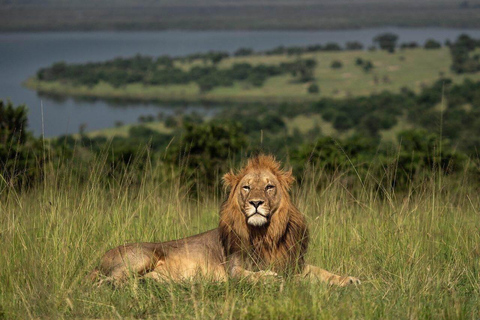 Akagera Wildlife Photography Safari: Big Five & Boat Cruise
