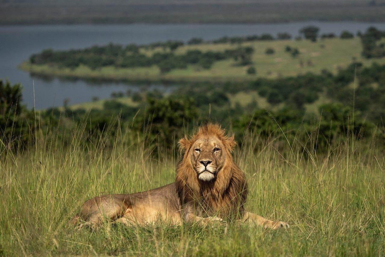 Akagera Wildlife Photography Safari: Big Five & Boat Cruise