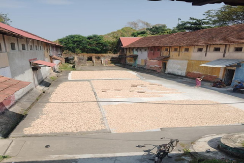 Kochi: Tuk-Tuk-Ausflug mit versteckten SchätzenKochi: Ausflug mit dem Tuk-Tuk zu versteckten Schätzen