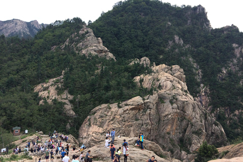 Seúl: Excursión de un día por la floración de los cerezos de primavera en CoreaGwangyangMaehwa y Jeonju desde la salida 8 de la calle Hongdae