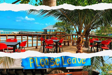 Dunn’s River Falls and Dolphin Cove Swim Adventure From Montego Bay/ Falmouth/ Trelawny