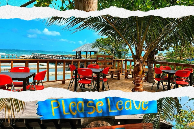 Dunn’s River Falls and Dolphin Cove Swim Adventure From Montego Bay/ Falmouth/ Trelawny