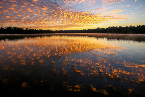 Sunset tour in the Jungle and Encounter with Capybaras