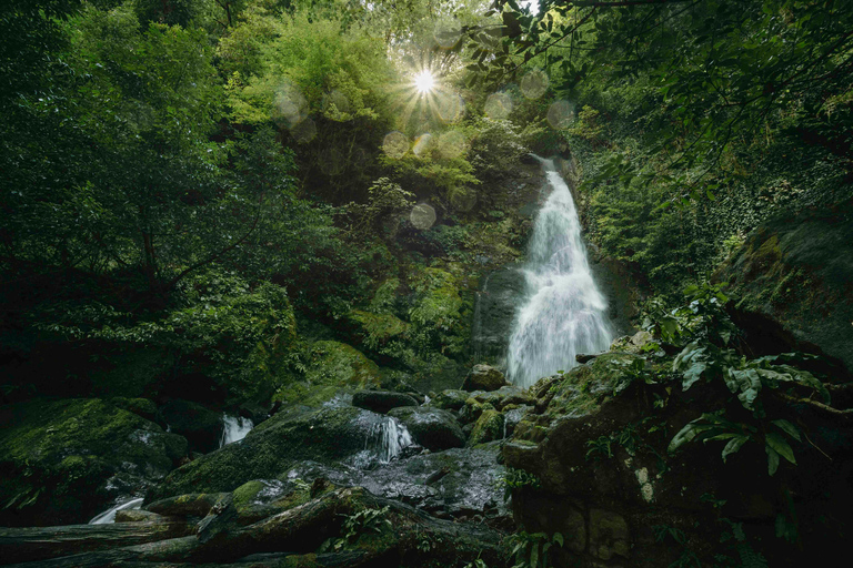 4D Batumi Essence Tour with guide 4D Batumi Essence Tour without guide