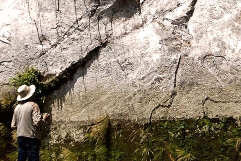 Manu National Reserve 5D | Pusharo Petroglyphen |
