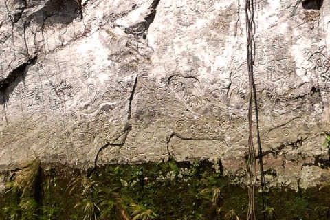Manu National Reserve 5D | Pusharo Petroglyphs |