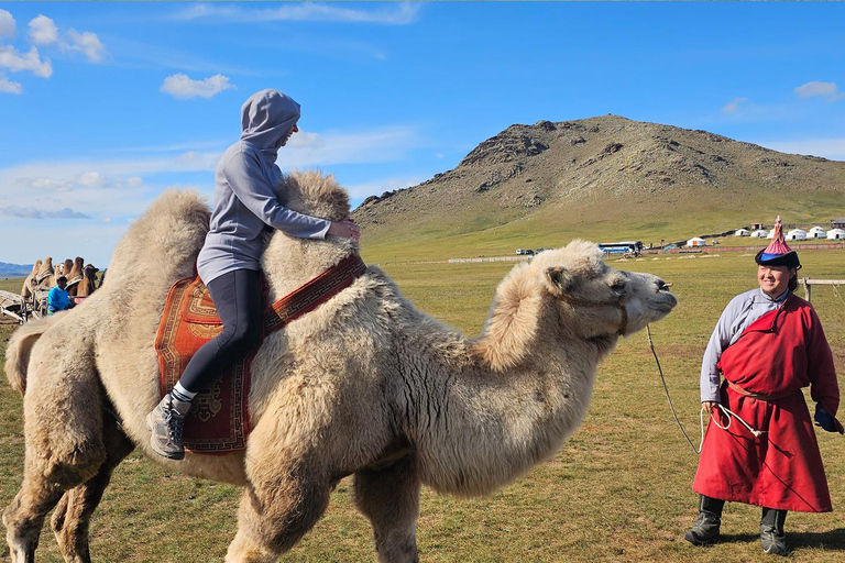 Ulaanbaatar: Nomadic Culture Show & Wild Horse Park Day Tour
