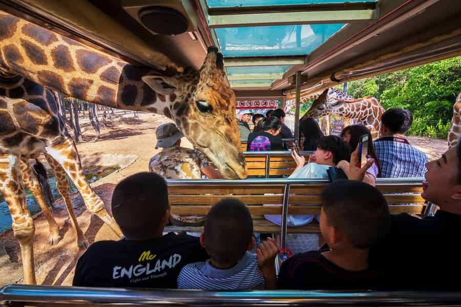 Chiang Mai: Ticket für die Nachtsafari mit Transfer-Option. Foto: GetYourGuide Chiang Mai: Ticket für die Nachtsafari mit Transfer-Option. Foto: GetYourGuide