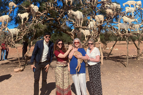 Escursione di un giorno a Essaouira