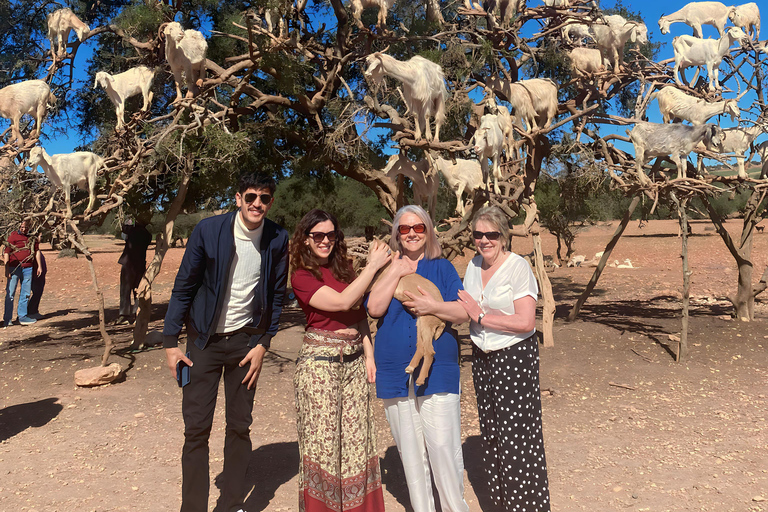 Escursione di un giorno a Essaouira