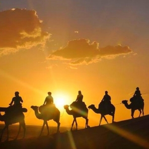 Marrakech: Desert Dinner, Camel Ride, Sunset & Show