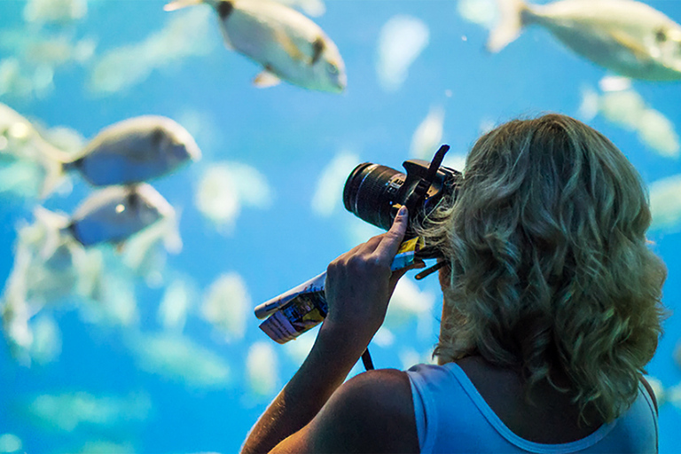 Mallorca: Palma Aquarium Eintrittskarte mit 3D Kino