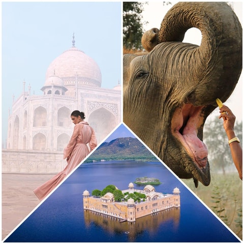 Delhi: 2Day Agra & Jaipur Tour with Elephant SOS and 5*Hotel