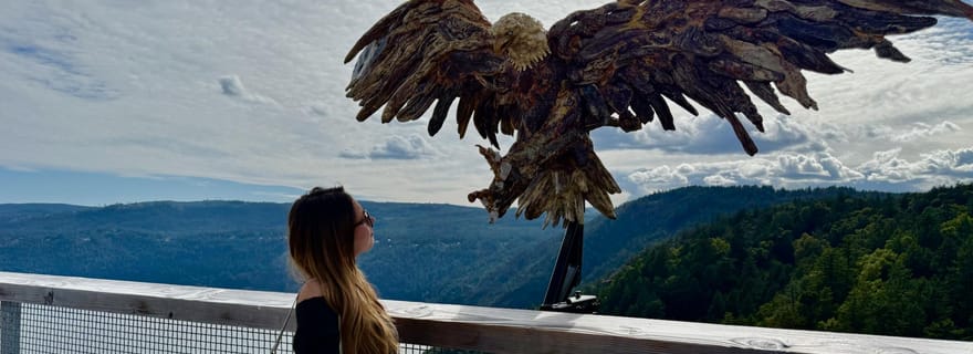 Victoria : visite du Malahat Skywalk et des lieux d'intérêt emblématiques