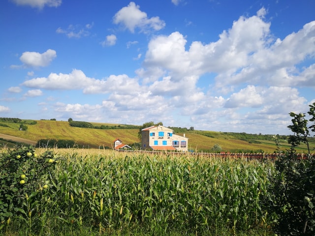 Visit From Belgrade Novi Sad & Fruska gora & winery and monastery in Belgrade, Serbia