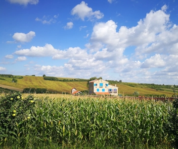 From Belgrade: Novi Sad & Fruska gora & winery and monastery