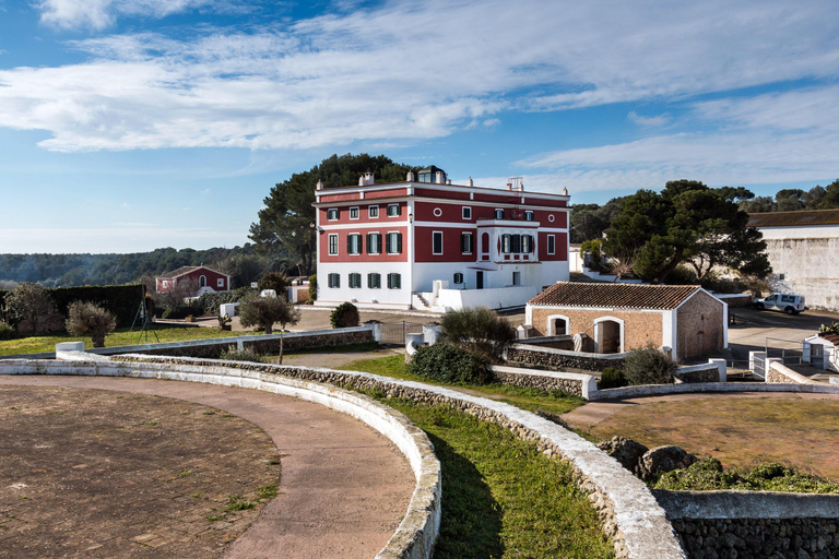 Menorca : Guided visit to the Subaida cheese factory,