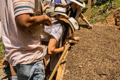 Medellin: Coffee and fruit tour