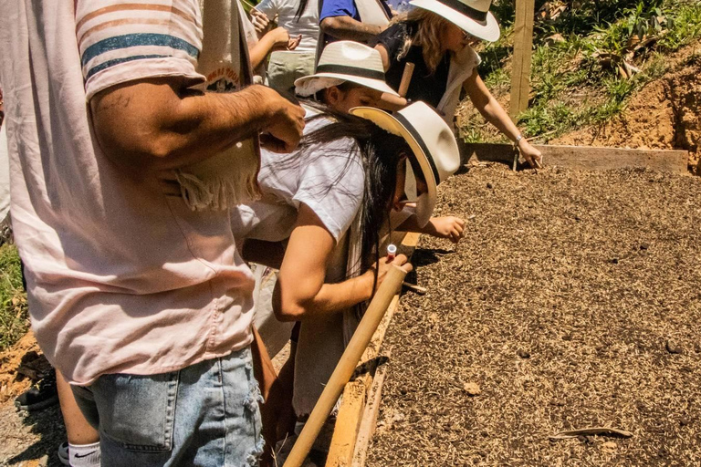 Medellin: Coffee and fruit tour