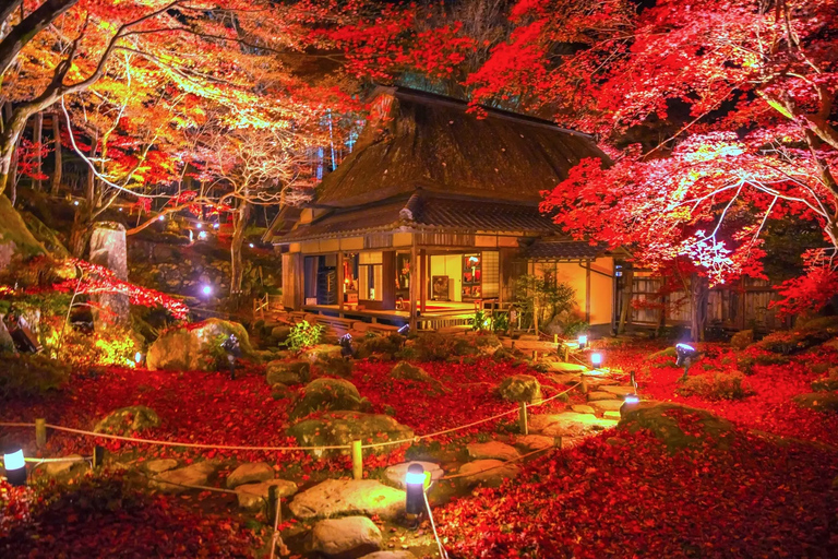 Tour autunnale dei templi Enryaku-ji e KyorinboParti da Kyoto