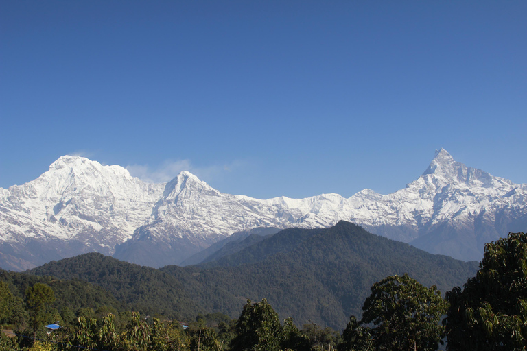 From Pokhara: Australian Camp and Dhampus Guided Day Hike