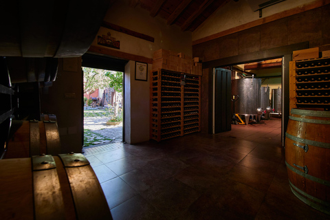 Segovia: Winery Tour with Wine Tasting Segovia: Tour with Wine Tasting