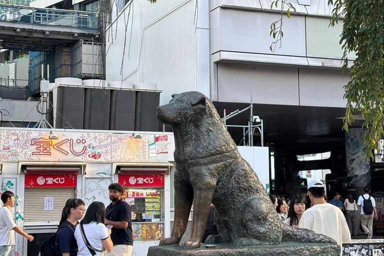 Tokyo: First/Last Day Tour for Haneda & Cruise Guests Haneda Airport → Tokyo