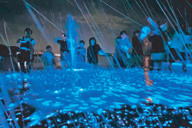 From Osaka: Awaji Island Magical Blue Sea Firefly Night Tour From Namba