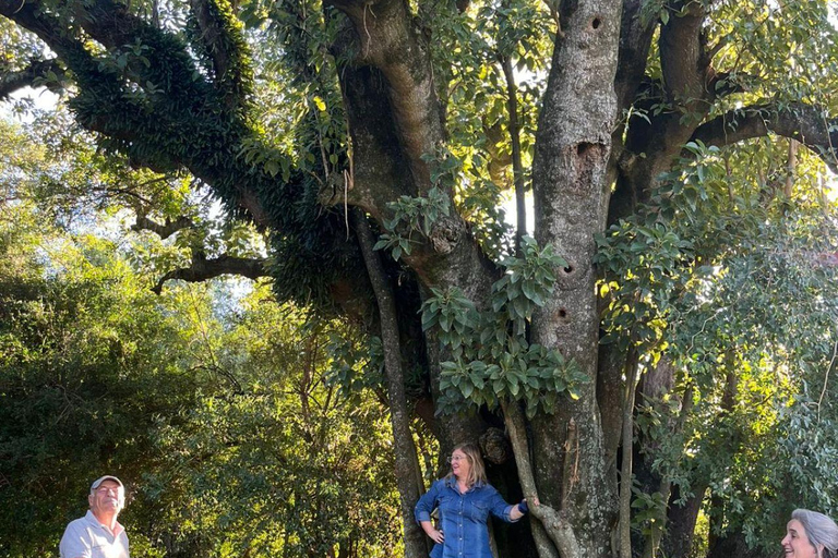 From Colonia: Trekking and Nature in Molino Artola with a Local Host