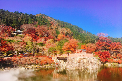 Osaka : Visite guidée du temple Katsuo-ji (Feuilles d&#039;automne)