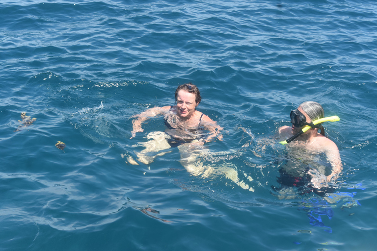 Labuan Bajo: Honeymoon Package Komodo Island Tour