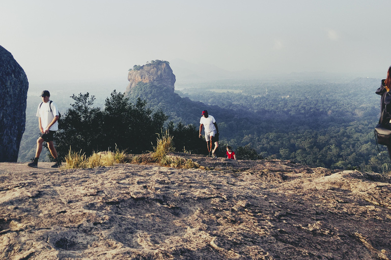 From Kandy: Sigiriya & Dambulla Day Tour with Safari