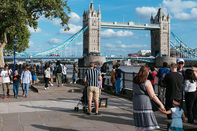 Londres : Chambres du Parlement, Trafalgar Square et parcs royauxExplorez Londres : visite d'une demi-journée des points forts de la ville