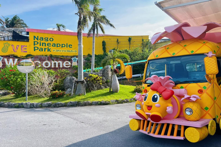 Kumejima : aquarium Churaumi d&#039;Okinawa, Manzamo, parc de l&#039;ananasBanque SMBC Shinjuku West Exit 9h30 (week-end et jours fériés 8h30)