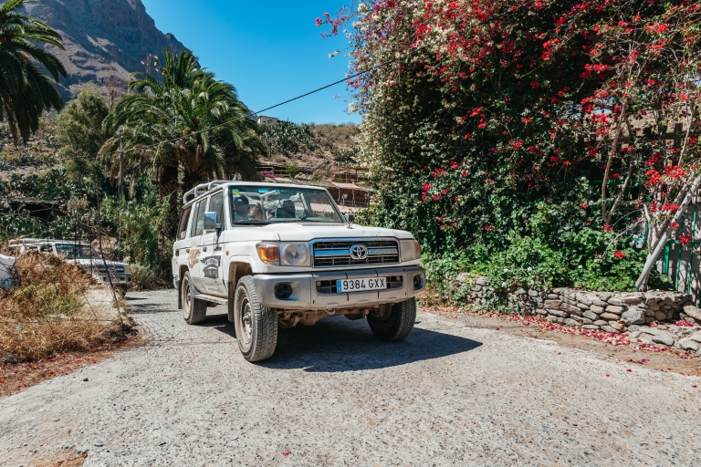 Gran Canaria: Off-Road Day Tour with Lunch