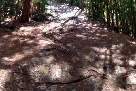 Trekking in Bogotá - Kolumbien