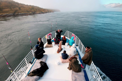 Tromsø: Crucero por el Fiordo de las Aves Silvestres con Comida y BebidasDesde Tromsø: crucero fauna en fiordos con comida y bebida