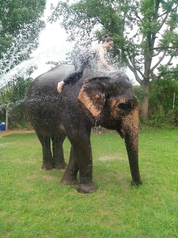 Jaipur: Elephant Village (Sanctuary) Attraction