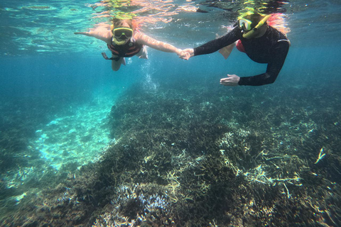 亭可马里：赏鲸和海军岛浮潜之旅