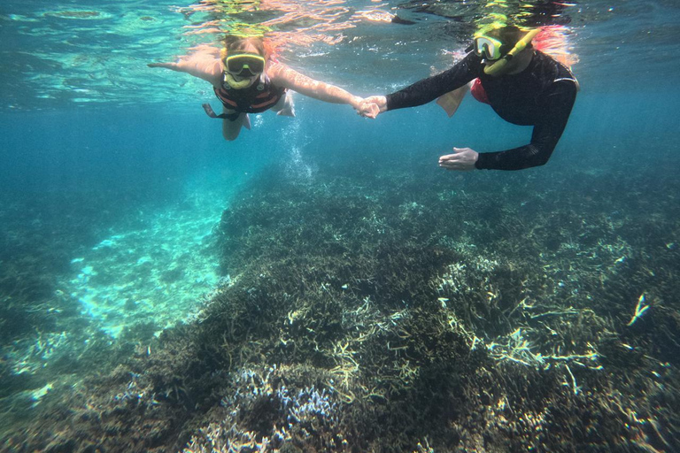 亭可马里：赏鲸和海军岛浮潜之旅