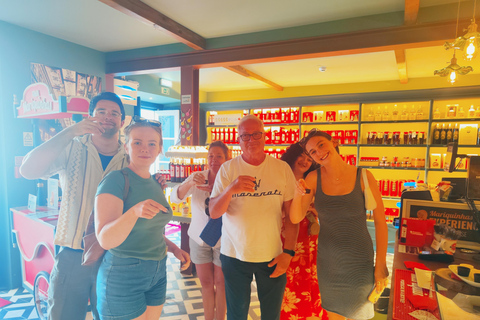 From Lisbon: Medieval Tour, Batalha, Tomar, Alcobaça, Óbidos Private Tour Option