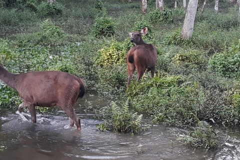 Z Pokhary: 2-dniowa wycieczka safari do Parku Narodowego Chitwan