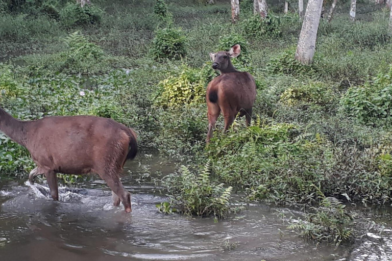 Vanuit Pokhara: 2-daagse safaritocht door het Chitwan Nationaal Park